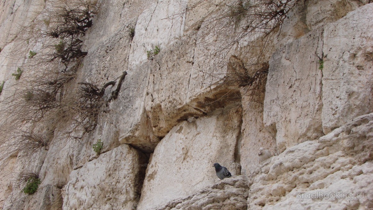 Jerusalem Underground