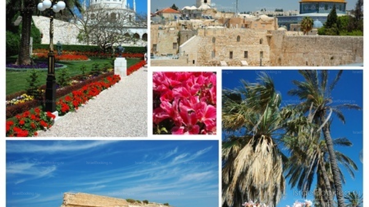 Package: 3 excursions for just 95$