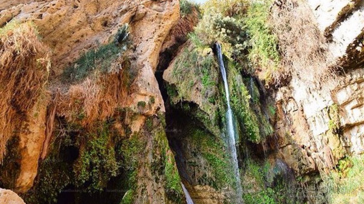 Dead sea + Ein Gedi