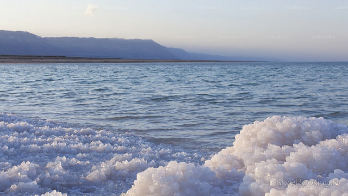 Dead sea 