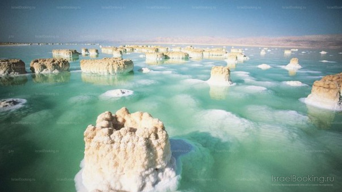 Dead sea 