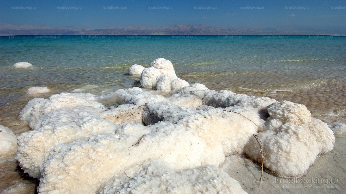 Dead sea 