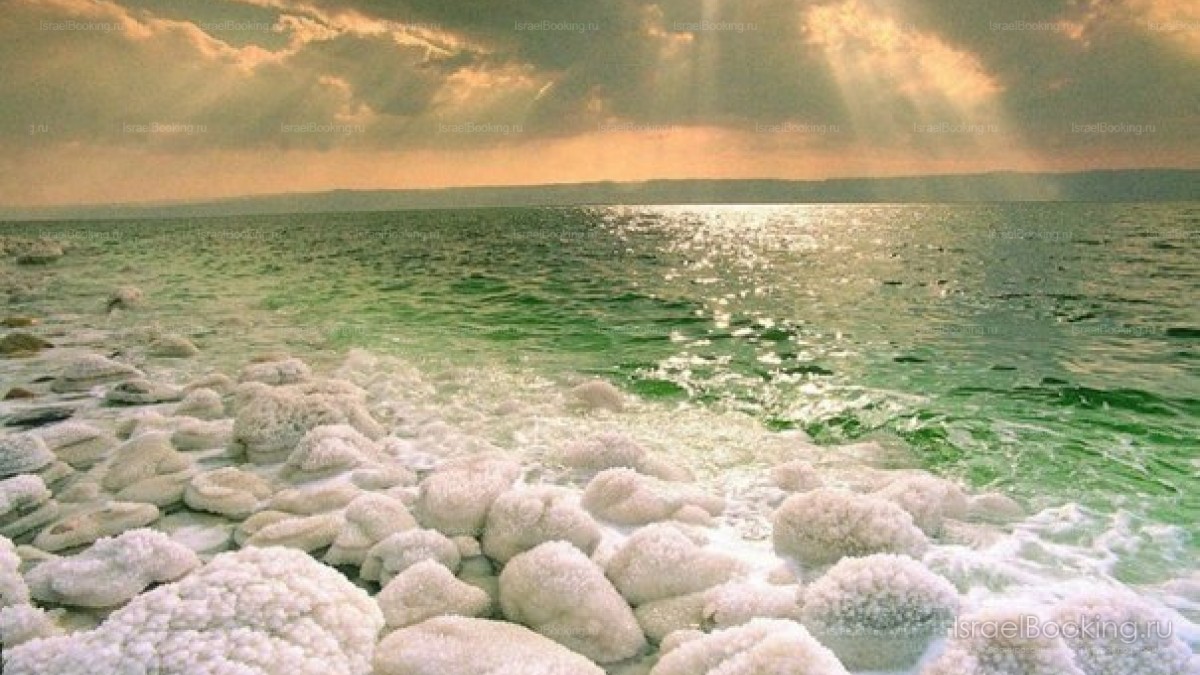 Dead sea 